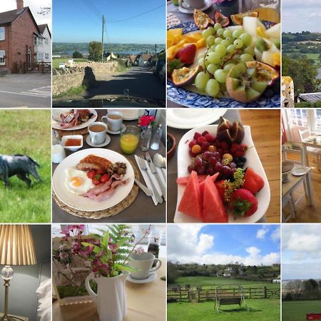School Farm Bed and Breakfast Blagdon Εξωτερικό φωτογραφία