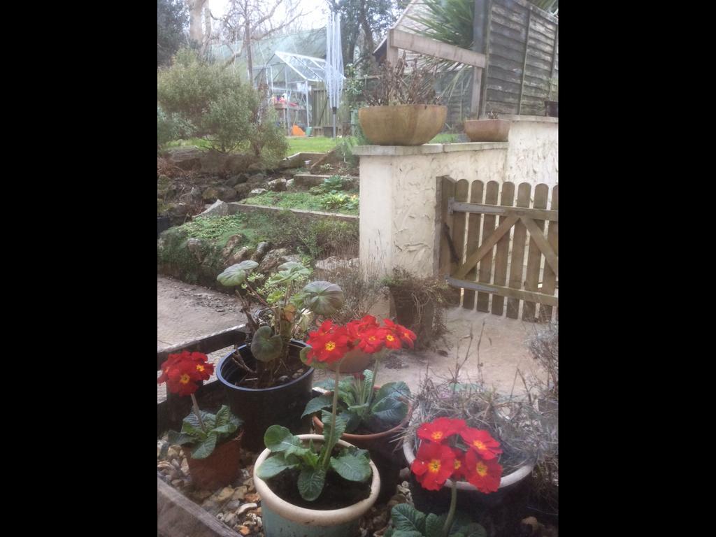 School Farm Bed and Breakfast Blagdon Εξωτερικό φωτογραφία