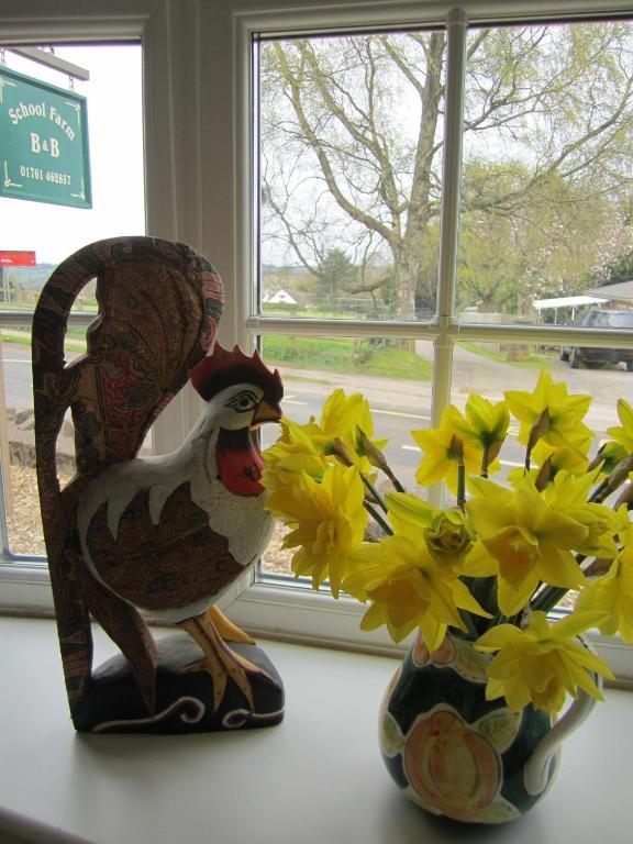 School Farm Bed and Breakfast Blagdon Εξωτερικό φωτογραφία