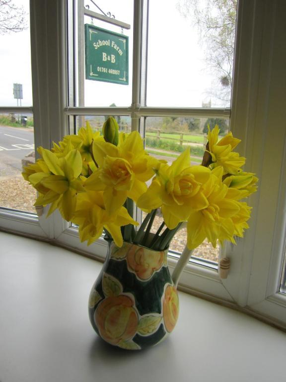 School Farm Bed and Breakfast Blagdon Εξωτερικό φωτογραφία
