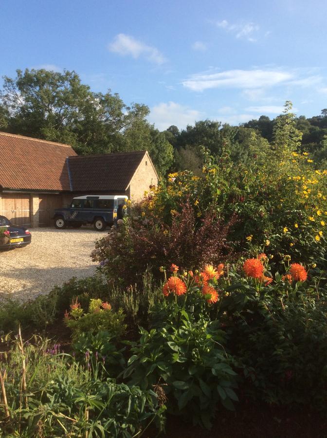 School Farm Bed and Breakfast Blagdon Εξωτερικό φωτογραφία